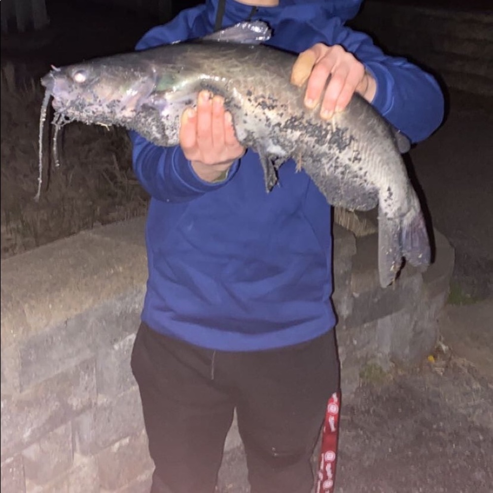 Meet your Posher, Nate